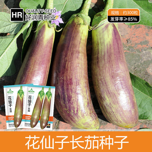 New Flower Eggplant Sichuan Bamboo Silk Eggplant Flower Lon