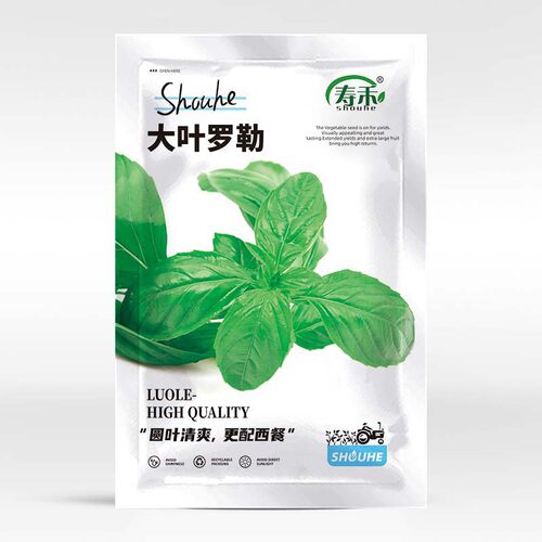 Edible Nine layer Pagoda Seedlings Purple Basil Balcony Pot