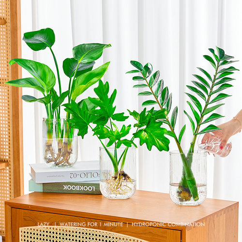 Pureplantsgooddesktopgree