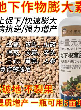 地下根茎素叶面肥大蒜洋葱豆三七