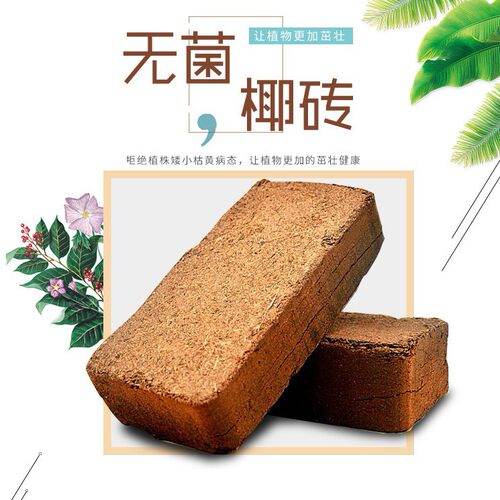 NewCoconutBrickCampBaseV