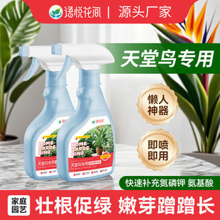 New Aishangke Paradise Bird Special Camp Liquid Large Pot G