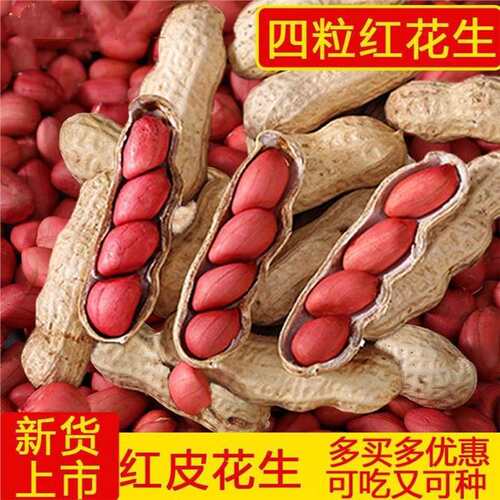 Selenium rich black peanuts with four red shells, peanuts,