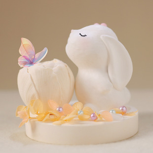 Glue Can DIY Dropping Aromatherapy Gypsum Rabbit Crystal