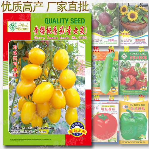 Yellow Cherry, Yellow Holy Maiden Fruit, Yellow Tomato, Sma