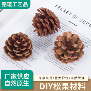 天然油松果论斤散卖幼儿园手工DiY材料圣诞节装饰拍摄装饰摆件