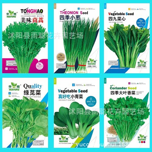 蔬菜种子家庭盆易种植菜黄瓜辣椒