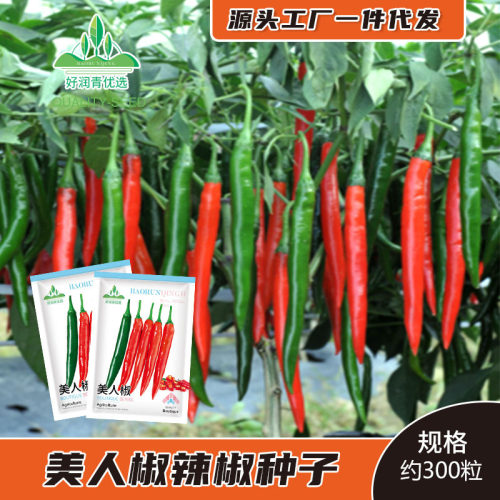 Beauty Pepper Spicy Red Pepper Long Line Pepper Thin Skin B