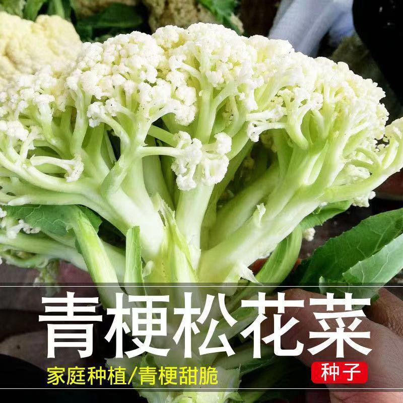 Songhua vegetable, loose flower, green stem, white cauliflo