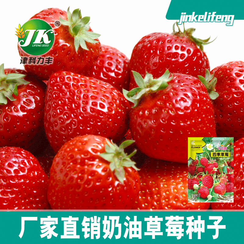 Vegetable Seed Company Four Seasons Strawberry Seeds Origin