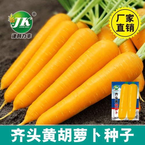 New Yellow Carrot Head tied Yellow Countryside Easy Vegetab