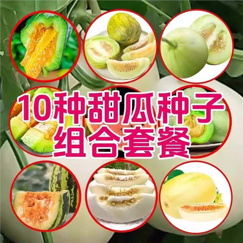 Sweet and Crispy Goat Horn Honey Seeds, Emerald Melon Seeds