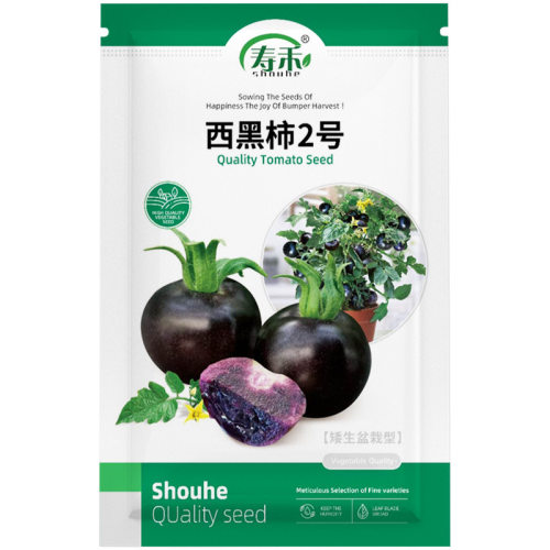 New Black Tomato Seedlings Purple Black Small Tomatoes West