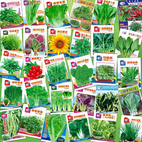 Flower shop drainage supplies 6.5 x 8.8cm mini packaging, 3