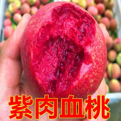 PeachFruitWatertightPeach