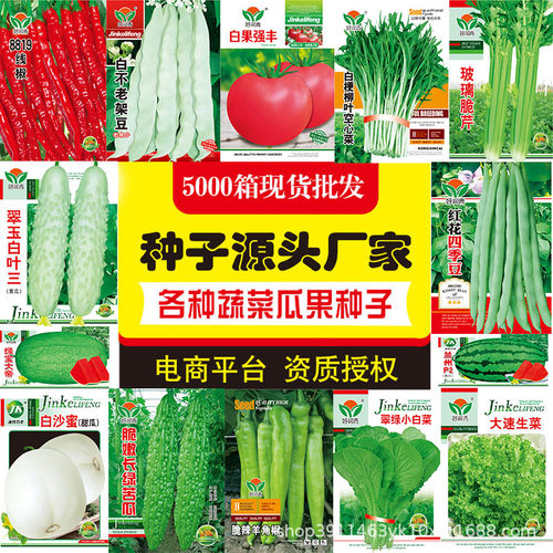 New Vegetables, Spring/Summer Fruits, Vegetables, Vegetable