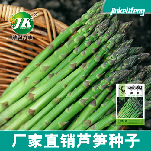 Direct supply of green asparagus color pack with about 80 r