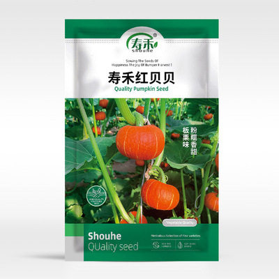New Red Baby Seedlings Chestnut Pumpkin Seedlings High Suga