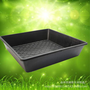 供应大正方形育苗托盘 多肉育苗盘 穴盘托盘 移苗盘 铁皮石斛育苗