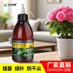 Aishang plant dry pointed green amino acid horticultural po