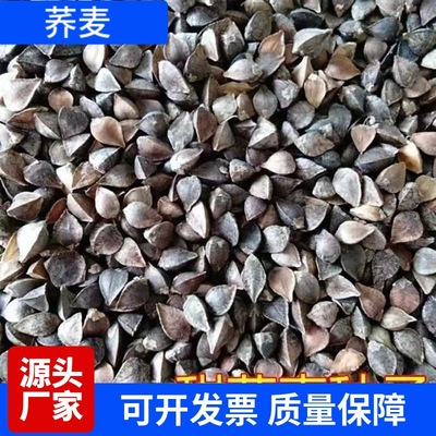 Buckwheat seeds Sweet buckwheat Buckwheat seeds Edible blac