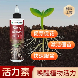 Aishangke Plant Power Green Plant General Liquid Fortune Tr