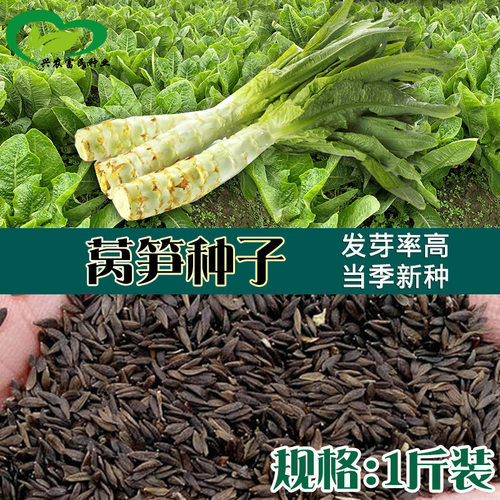 Qinghe Red Farmland Vegetable Fields Spring, Summer, Autumn