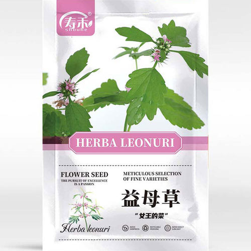 New authentic motherwort, Chinese medicinal herbs, grass se