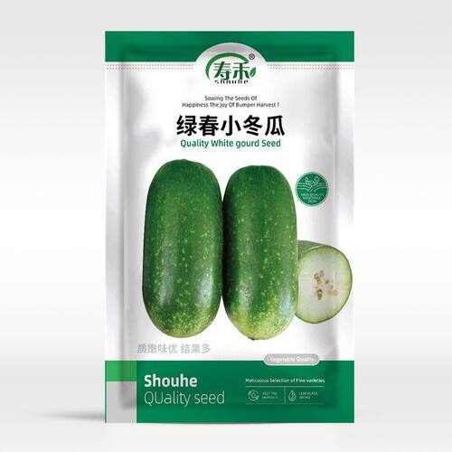 绿小冬瓜种籽瓜苗种子早熟迷你盆