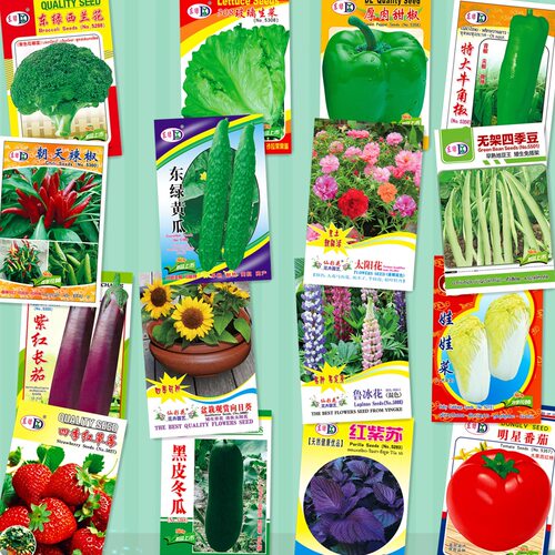 Spring and summer one yuan stall easy original vegetables g