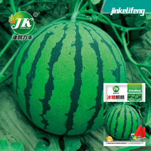 Ice Sugar Kirin Watermelon Round Red Heart Jingxin Fruit 84
