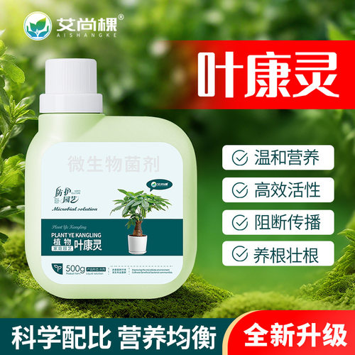 AishanggeplantYeKanglingm
