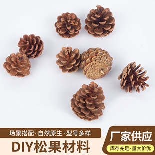 天然油松果手工DiY环创布置材料幼儿园干花森林材料圣诞装饰道具