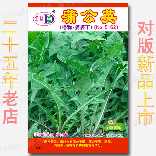 New style about 1000 dandelion vegetables, yellow flower ve