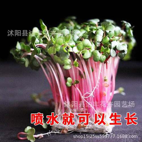 Complete range of seedlings, vegetables, and dishes. Green