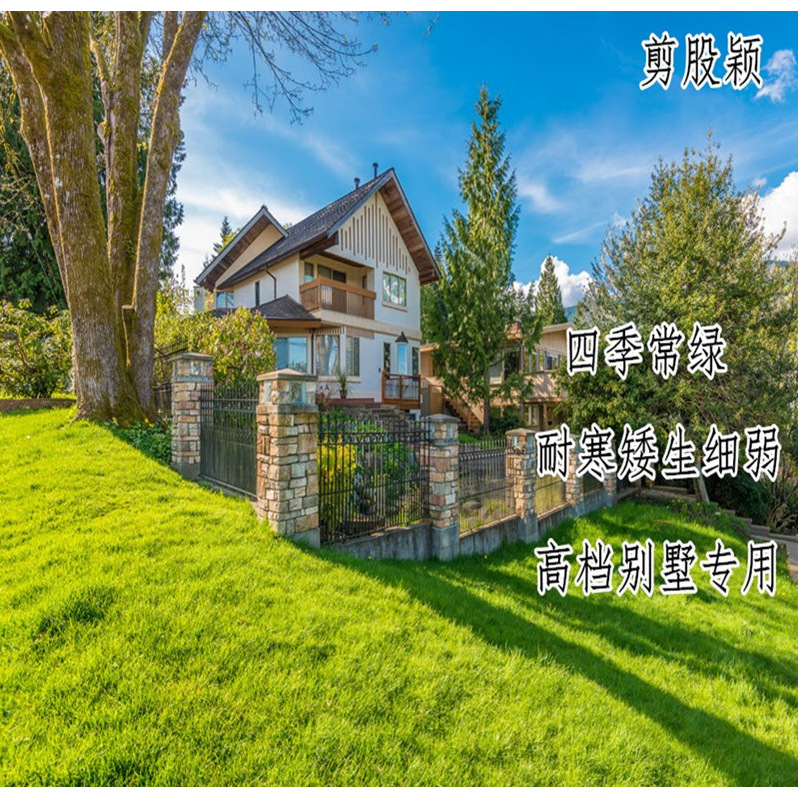 Delicate and weak creeping, shearing strands, high-end A4 g