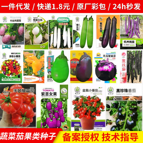 Balcony basin picking purple red long eggplant thread eggpl