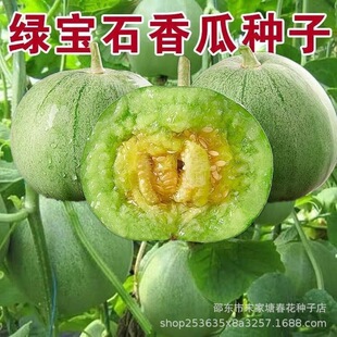 small model toy, Emerald Melon Thin skinned Melon Green sk