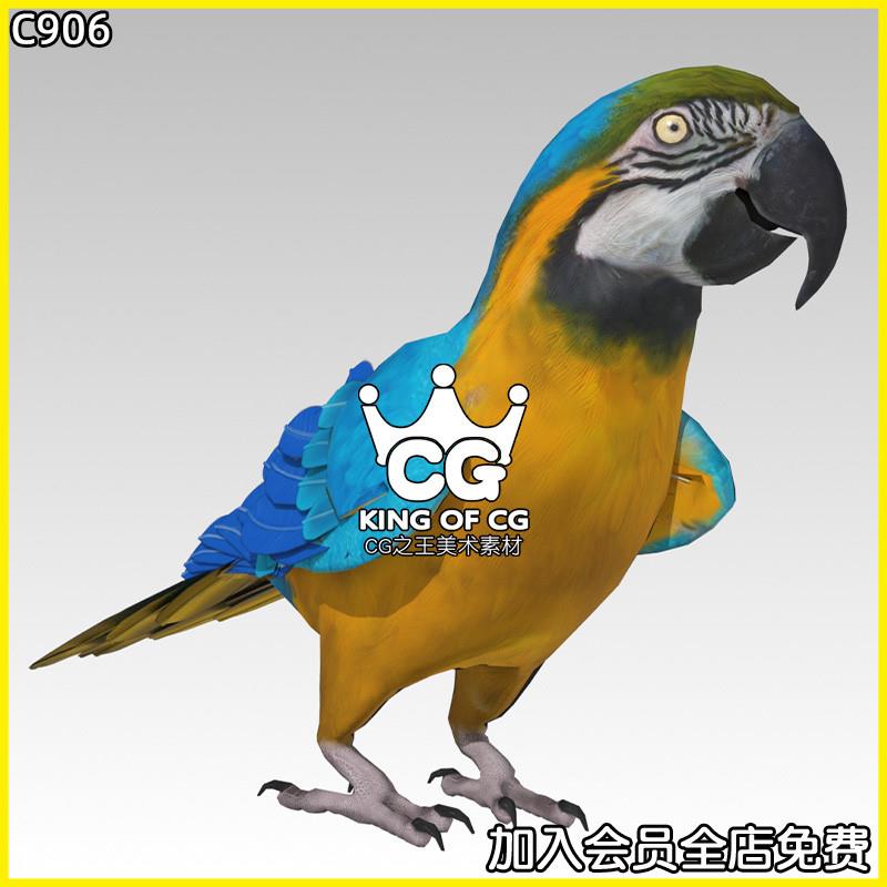 Blue and Yellow Macaw UE5.3+虚幻大金刚鹦鹉动物角色模型 商务/设计服务 设计素材/源文件 原图主图