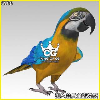 Blue and Yellow Macaw UE5.3+虚幻大金刚鹦鹉动物角色模型