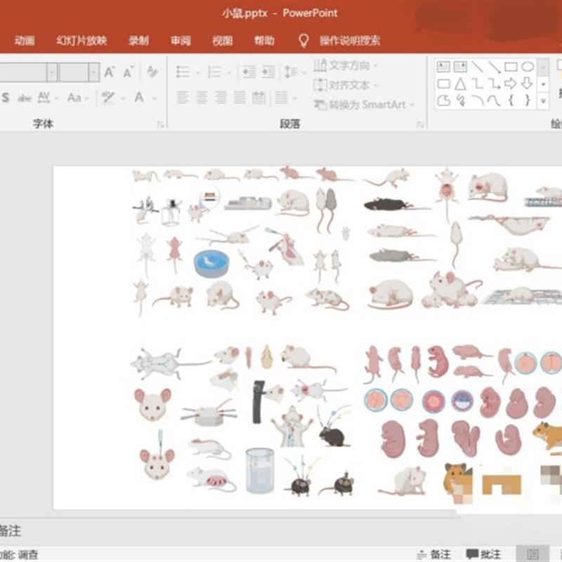 小鼠 实验器材 人体器官 细胞科研绘图素材 PPT AI格式的源文件