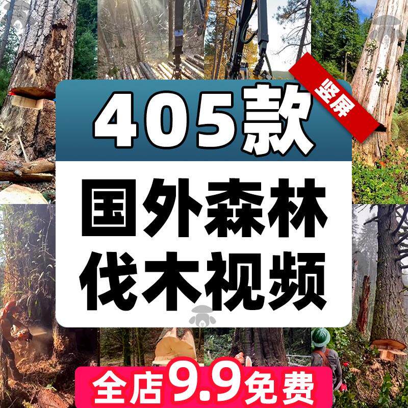 国外森林户外树林电锯伐木工人锯树机器砍树竖屏视频小说推文素材