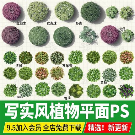 psd灌木球灌木平面树球形植物彩平图ps素材png procreate景观灌木