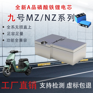 极核AE5磷酸铁锂九号电池MZ NZ直上大容量电瓶48v60v72v刀片电芯
