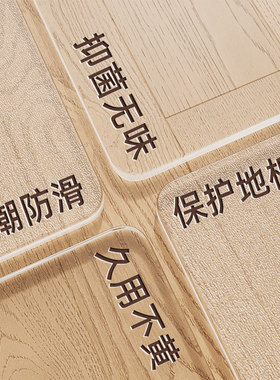透明简约现代PVC家用地垫