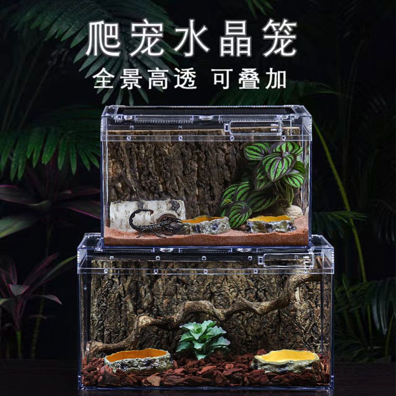 爬虫亚克力饲养盒宠物箱变色龙蜘蛛守宫角蛙甲虫蚕宝宝爬宠箱