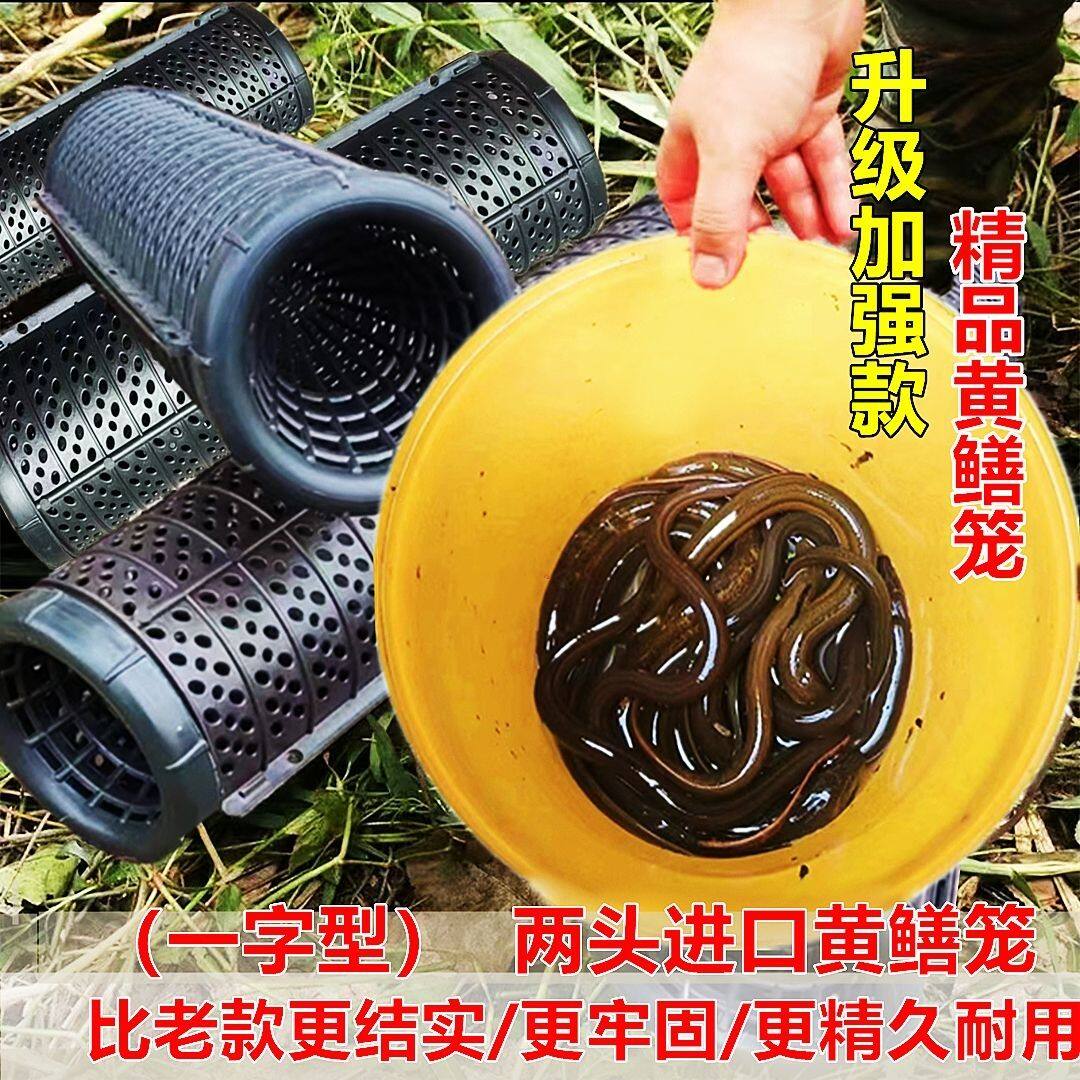 升级加强版捕黄鳝神器一字型自动鳝鱼泥鳅专用倒须笼子塑料胶笼子