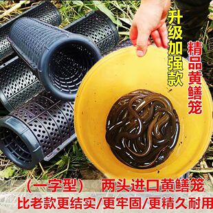 升级加强版捕黄鳝神器一字型自动鳝鱼泥鳅专用倒须笼子塑料胶笼子