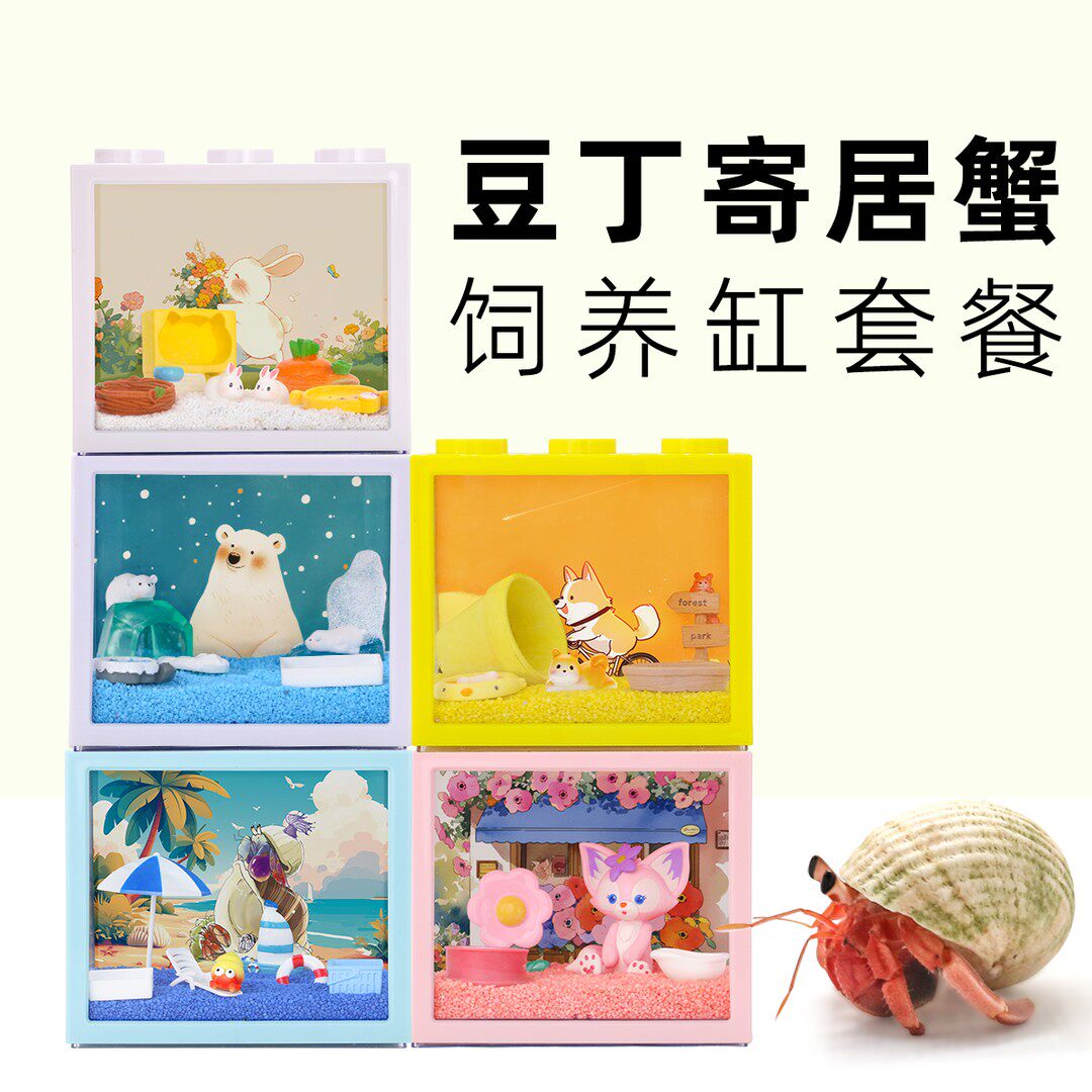 陌派「超萌好物」小豆丁寄居蟹套装～寄居蟹饲养套餐饲养缸儿童礼