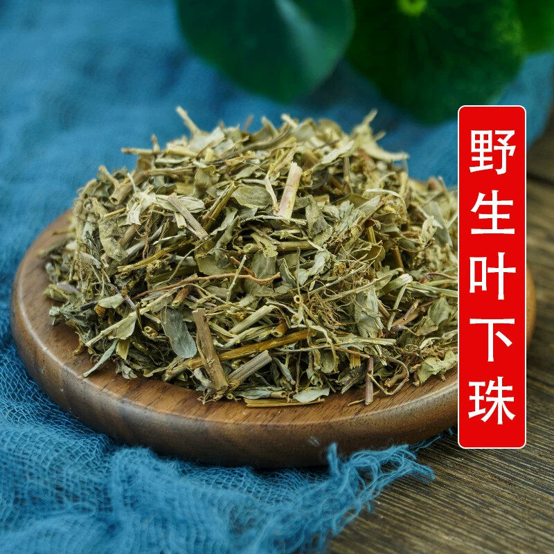 秦岭野生山货叶下珠500g别名珠子草 叶下珍珠 鲫鱼草 鱼鳞草